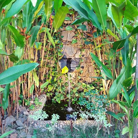 Rock Forest Goa Honeymoon Cottages Calangute Exterior foto