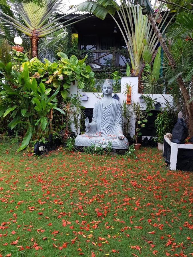 Rock Forest Goa Honeymoon Cottages Calangute Exterior foto